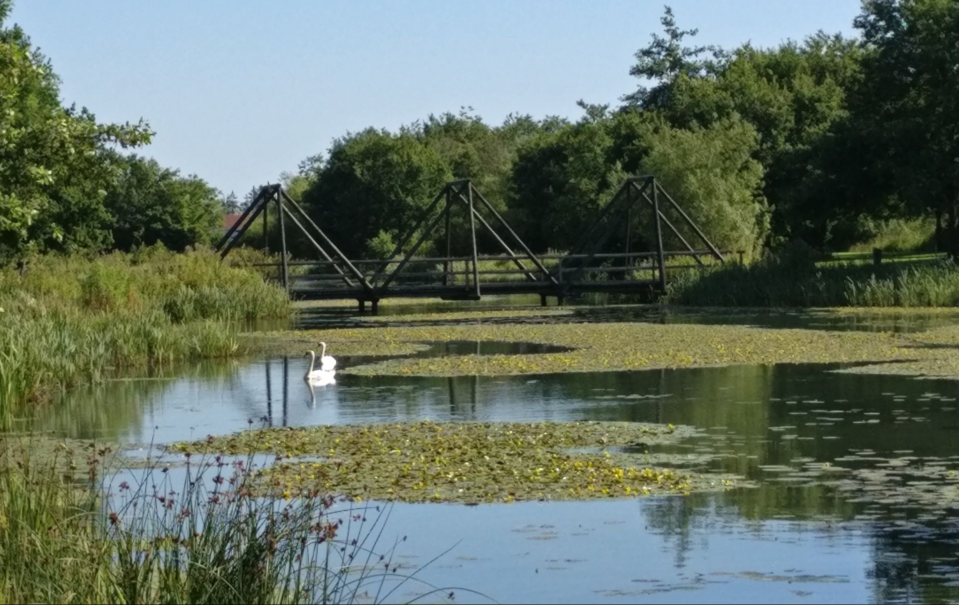 Søparken